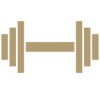 gym-icon-1